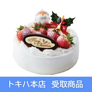 �y21�z �s�啪�E����/���Ђ�΁t ���N���[���̃N���X�}�X�P�[�L